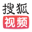沈雁的生平经历是什么